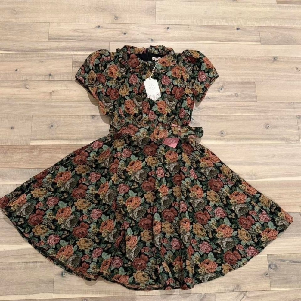 Ivy City floral dress with a touch of whimsy sz 13-14 T Brand new